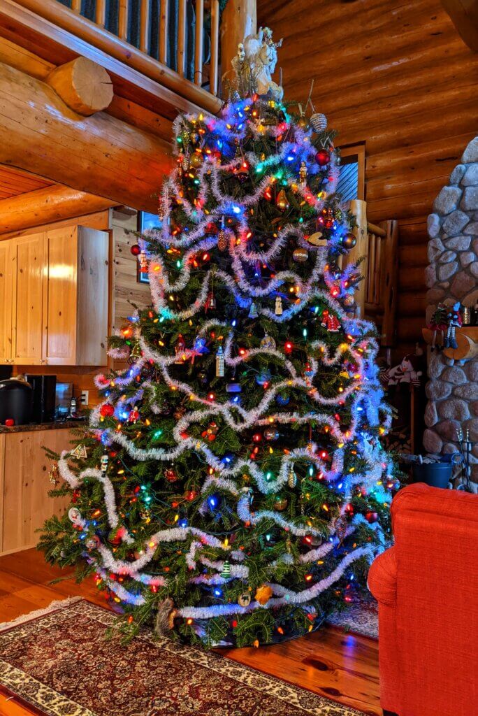 2020 Christmas tree 2