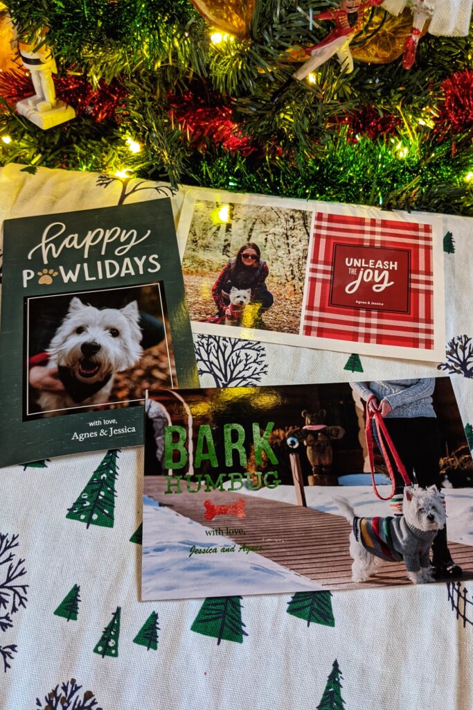Dog Christmas Cards