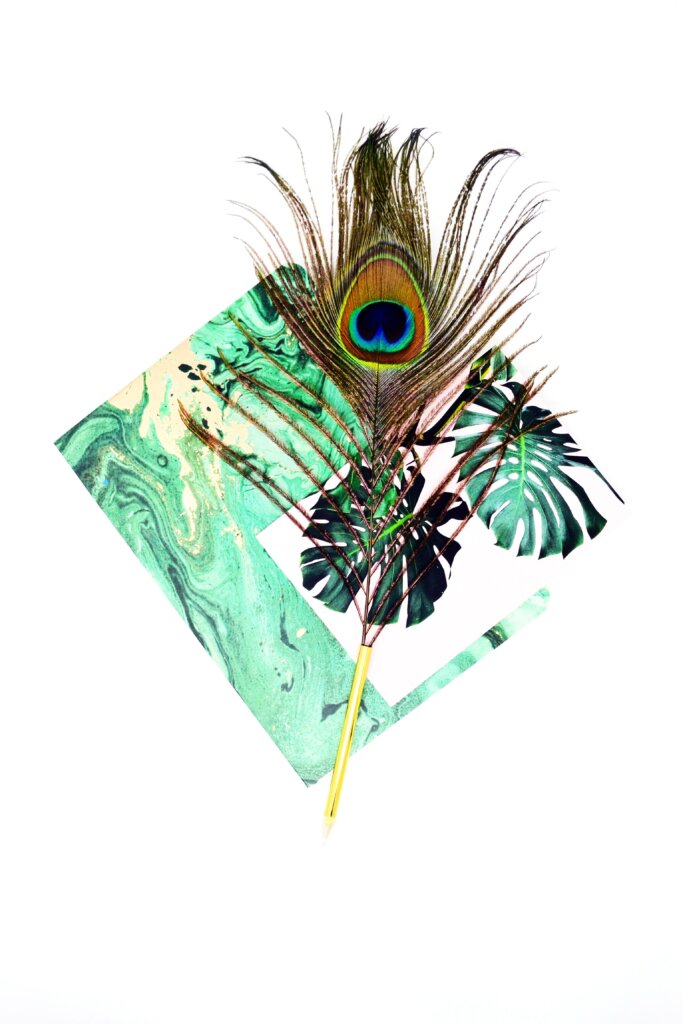 Peacock feather on green watercolour