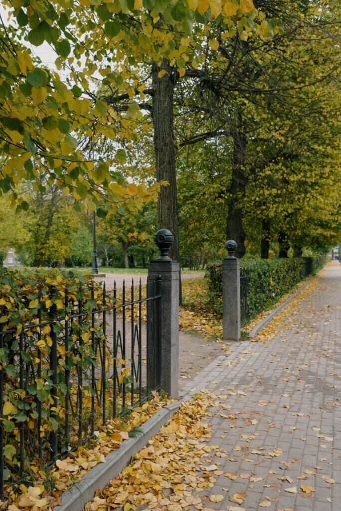 September walkway