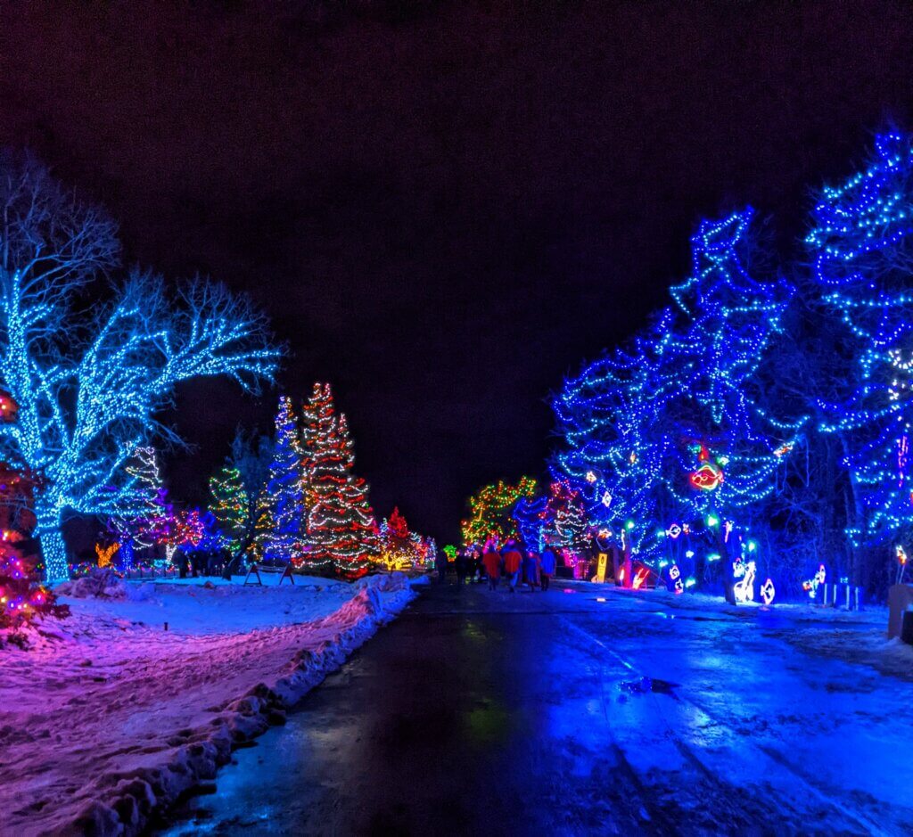 Christmas lights at Assiniboine Park Zoo