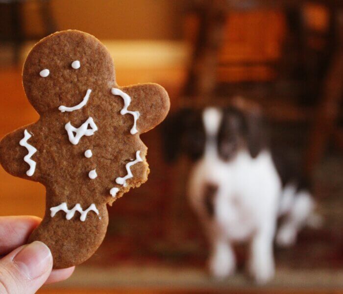 Holiday History Bite: Gingerbread