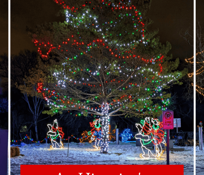 Christmas History Hub