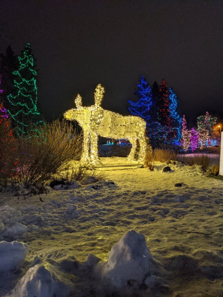 Christmas lights moose
