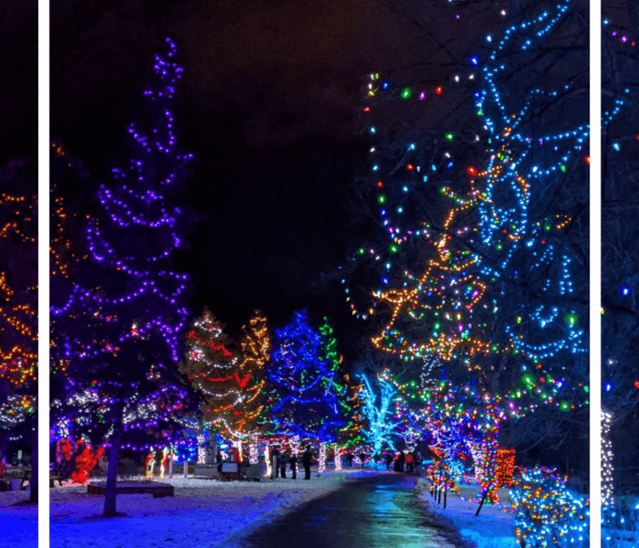 Christmas History Trivia 2023
